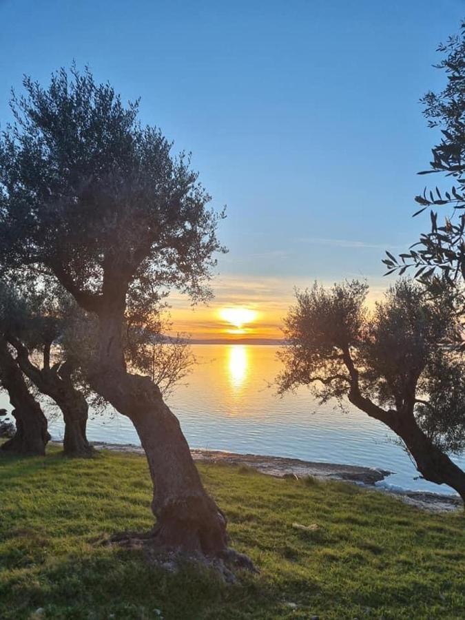 Casa Vacanza Gargano كاربينو المظهر الخارجي الصورة